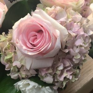 Meet your Posher, Taylor